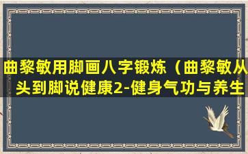 曲黎敏用脚画八字锻炼（曲黎敏从头到脚说健康2-健身气功与养生之道）