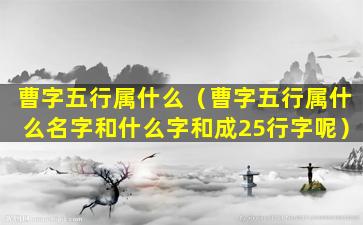 曹字五行属什么（曹字五行属什么名字和什么字和成25行字呢）