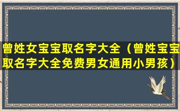 曾姓女宝宝取名字大全（曾姓宝宝取名字大全免费男女通用小男孩）