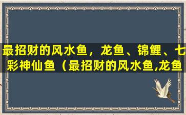 最招财的风水鱼，龙鱼、锦鲤、七彩神仙鱼（最招财的风水鱼,龙鱼,锦鲤,七彩神仙鱼）