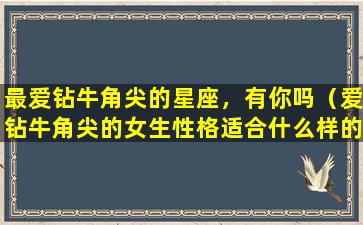 最爱钻牛角尖的星座，有你吗（爱钻牛角尖的女生性格适合什么样的男生）