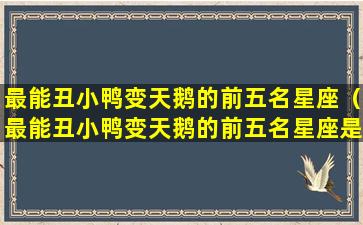 最能丑小鸭变天鹅的前五名星座（最能丑小鸭变天鹅的前五名星座是什么）