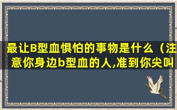 最让B型血惧怕的事物是什么（注意你身边b型血的人,准到你尖叫）