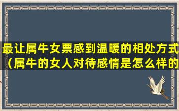 最让属牛女票感到温暖的相处方式（属牛的女人对待感情是怎么样的）