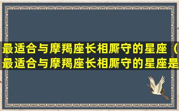 最适合与摩羯座长相厮守的星座（最适合与摩羯座长相厮守的星座是什么）