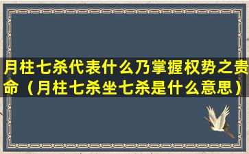 月柱七杀代表什么乃掌握权势之贵命（月柱七杀坐七杀是什么意思）