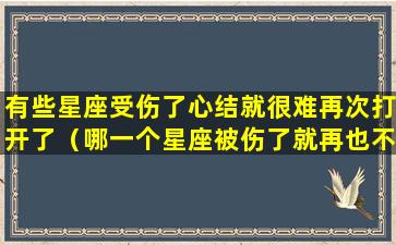 有些星座受伤了心结就很难再次打开了（哪一个星座被伤了就再也不可能复合了）