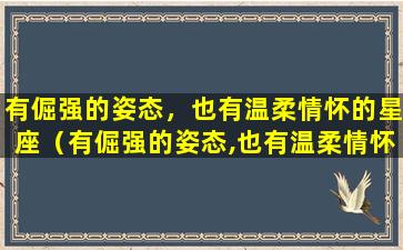 有倔强的姿态，也有温柔情怀的星座（有倔强的姿态,也有温柔情怀的星座是什么）