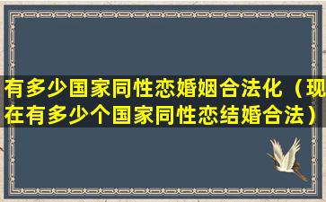 有多少国家同性恋婚姻合法化（现在有多少个国家同性恋结婚合法）