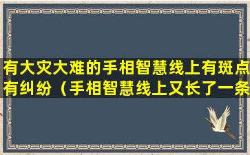 有大灾大难的手相智慧线上有斑点有纠纷（手相智慧线上又长了一条）