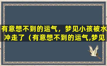 有意想不到的运气，梦见小孩被水冲走了（有意想不到的运气,梦见小孩被水冲走了啥意思）