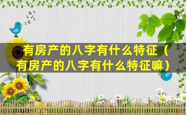 有房产的八字有什么特征（有房产的八字有什么特征嘛）