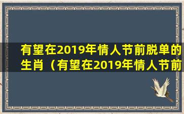 有望在2019年情人节前脱单的生肖（有望在2019年情人节前脱单的生肖是什么）