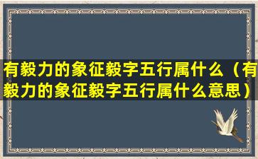 有毅力的象征毅字五行属什么（有毅力的象征毅字五行属什么意思）