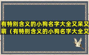 有特别含义的小狗名字大全又呆又萌（有特别含义的小狗名字大全又呆又萌女生）