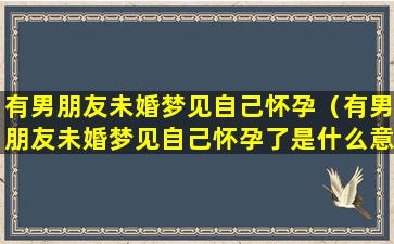 有男朋友未婚梦见自己怀孕（有男朋友未婚梦见自己怀孕了是什么意思）