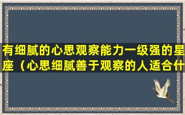 有细腻的心思观察能力一级强的星座（心思细腻善于观察的人适合什么工作）