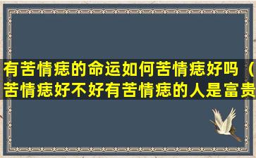 有苦情痣的命运如何苦情痣好吗（苦情痣好不好有苦情痣的人是富贵命）