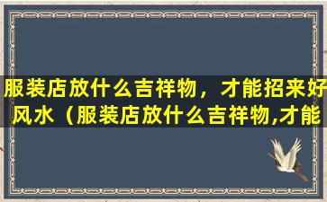 服装店放什么吉祥物，才能招来好风水（服装店放什么吉祥物,才能招来好风水的东西）