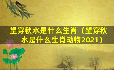 望穿秋水是什么生肖（望穿秋水是什么生肖动物2021）