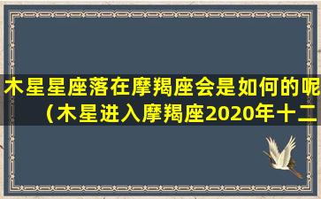 木星星座落在摩羯座会是如何的呢（木星进入摩羯座2020年十二星座运势）