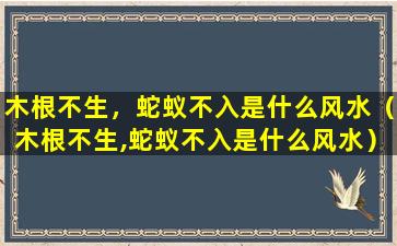 木根不生，蛇蚁不入是什么风水（木根不生,蛇蚁不入是什么风水）