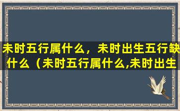 未时五行属什么，未时出生五行缺什么（未时五行属什么,未时出生五行缺什么）