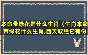 本命带绿花是什么生肖（生肖本命带绿花什么生肖,西天取经它有份）