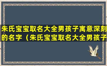 朱氏宝宝取名大全男孩子寓意深刻的名字（朱氏宝宝取名大全男孩子寓意深刻的名字有哪些）