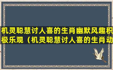 机灵聪慧讨人喜的生肖幽默风趣积极乐观（机灵聪慧讨人喜的生肖动物）