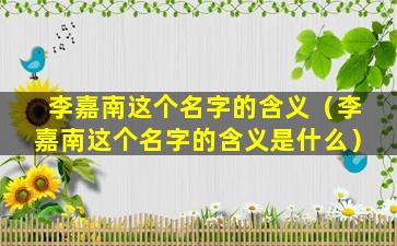 李嘉南这个名字的含义（李嘉南这个名字的含义是什么）