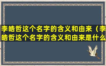 李皓哲这个名字的含义和由来（李皓哲这个名字的含义和由来是什么）