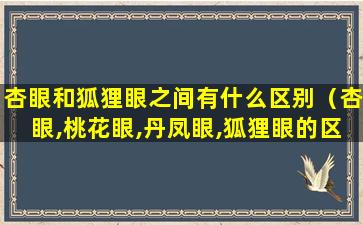 杏眼和狐狸眼之间有什么区别（杏眼,桃花眼,丹凤眼,狐狸眼的区别）