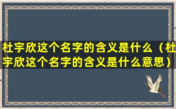 杜宇欣这个名字的含义是什么（杜宇欣这个名字的含义是什么意思）