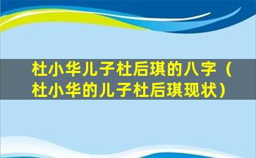 杜小华儿子杜后琪的八字（杜小华的儿子杜后琪现状）