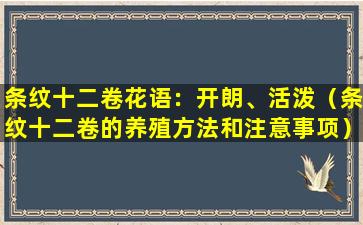 条纹十二卷花语：开朗、活泼（条纹十二卷的养殖方法和注意事项）