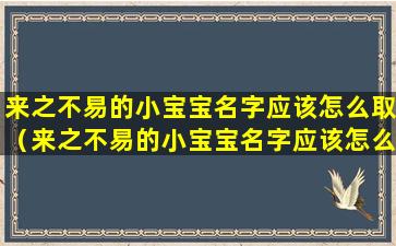 来之不易的小宝宝名字应该怎么取（来之不易的小宝宝名字应该怎么取2020）