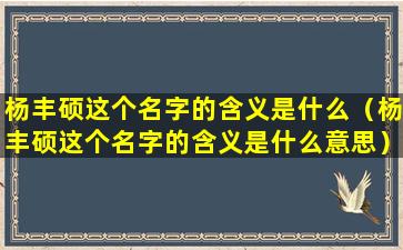 杨丰硕这个名字的含义是什么（杨丰硕这个名字的含义是什么意思）