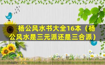 杨公风水书大全16本（杨公风水是三元派还是三合派）