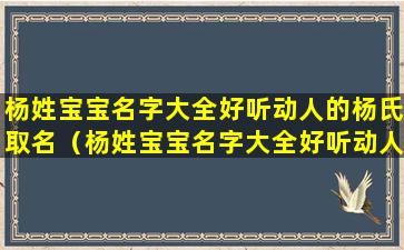 杨姓宝宝名字大全好听动人的杨氏取名（杨姓宝宝名字大全好听动人的杨氏取名叫什么）