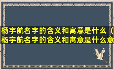 杨宇航名字的含义和寓意是什么（杨宇航名字的含义和寓意是什么意思）