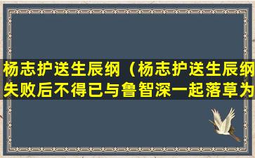 杨志护送生辰纲（杨志护送生辰纲失败后不得已与鲁智深一起落草为寇）