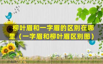 柳叶眉和一字眉的区别在哪里（一字眉和柳叶眉区别图）