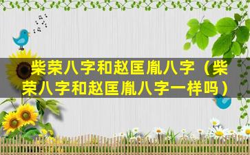 柴荣八字和赵匡胤八字（柴荣八字和赵匡胤八字一样吗）