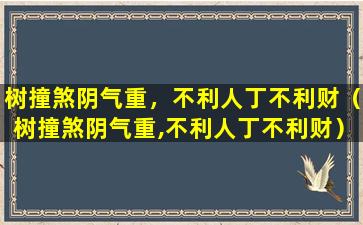 树撞煞阴气重，不利人丁不利财（树撞煞阴气重,不利人丁不利财）