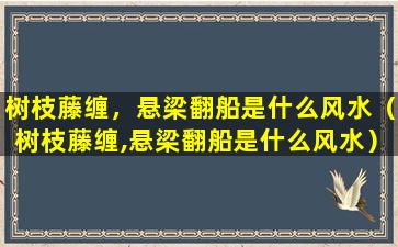 树枝藤缠，悬梁翻船是什么风水（树枝藤缠,悬梁翻船是什么风水）