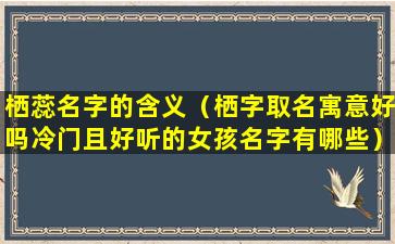 栖蕊名字的含义（栖字取名寓意好吗冷门且好听的女孩名字有哪些）