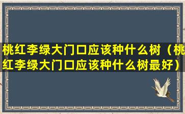 桃红李绿大门口应该种什么树（桃红李绿大门口应该种什么树最好）