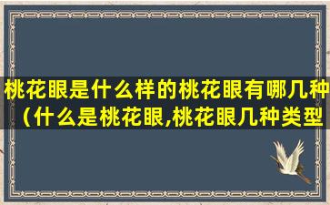 桃花眼是什么样的桃花眼有哪几种（什么是桃花眼,桃花眼几种类型的分析）