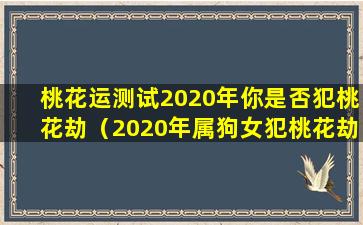 桃花运测试2020年你是否犯桃花劫（2020年属狗女犯桃花劫吗）